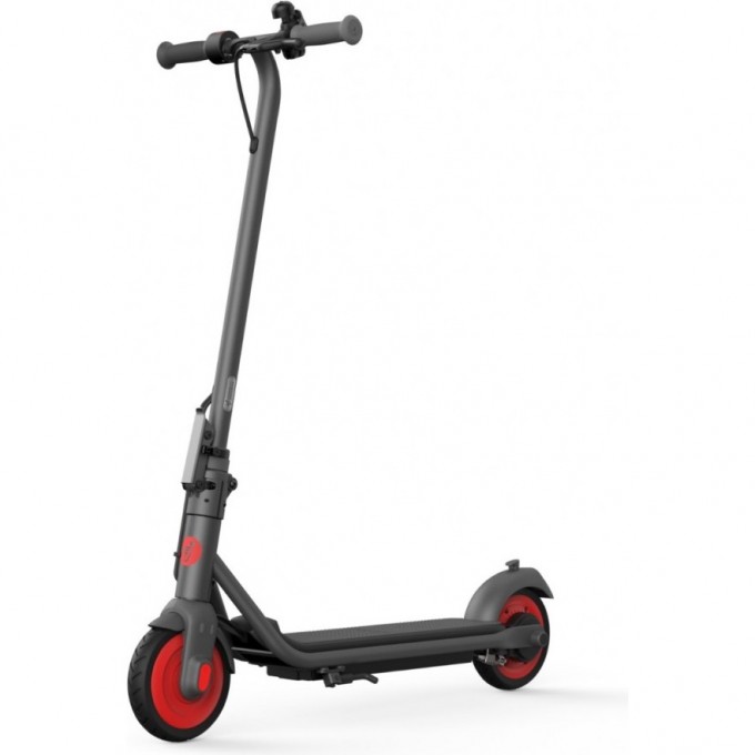 ЭЛЕКТРОСАМОКАТ NINEBOT KickScooter C20